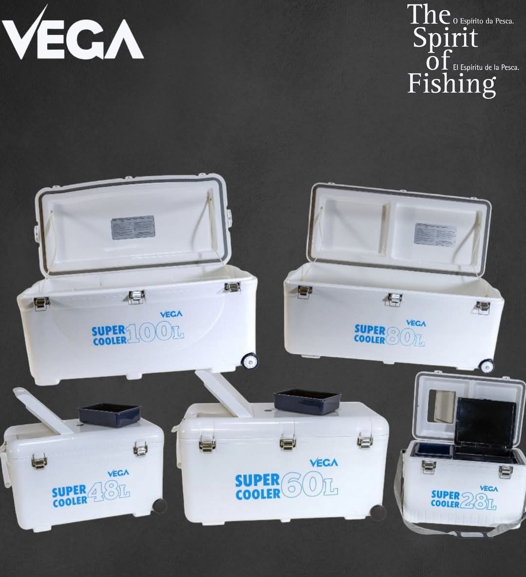 NEVERA PORTATIL VEGA